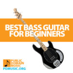 best-bass-guitar-for-beginners