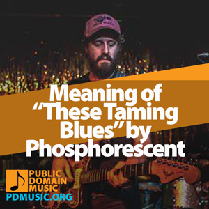 these-taming-blues-by-phosphorescent-meaning