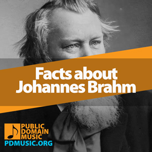 facts-about-johannes-brahm