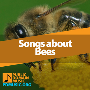 23 Most Famous Songs About Bees (Must Hear Buzzing Playlist) - Public ...