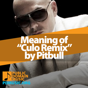 Meaning-of-the-Song-Culo-Remix-by-Pitbull