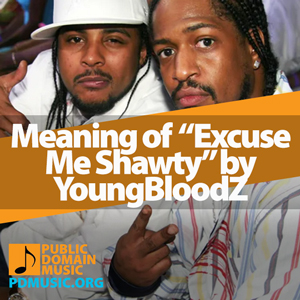 Meaning-of-the-Song-Excuse-Me-Shawty-by-YoungBloodZ