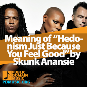 Meaning-of-the-Song-Hedonism-Just-Because-You-Feel-Good-by-Skunk-Anansie