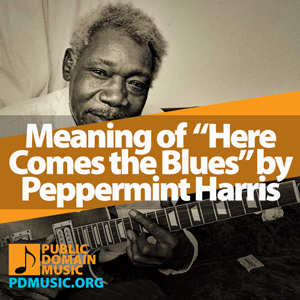 Meaning-of-the-Song-Here-Comes-the-Blues-by-Peppermint-Harris