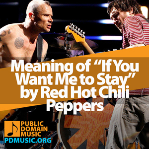 Meaning-of-the-Song-If-You-Want-Me-to-Stay-by-Red-Hot-Chili-Peppers