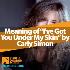 Meaning-of-the-Song-I've-Got-You-Under-My-Skin-by-Carly-Simon