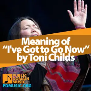 Meaning-of-the-Song-I've-Got-to-Go-Now-by-Toni-Childs