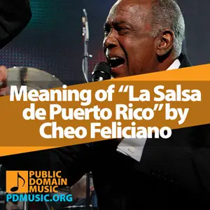 Meaning-of-the-Song-La-Salsa-de-Puerto-Rico-by-Cheo-Feliciano