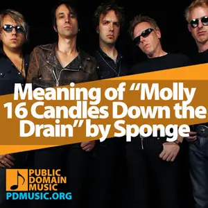 Meaning-of-the-Song-Molly-16-Candles-Down-the-Drain-by-Sponge