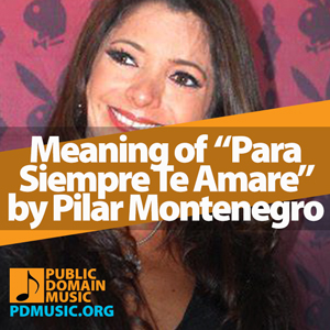 Meaning-of-the-Song-Para-Siempre-Te-Amare-by-Pilar-Montenegro