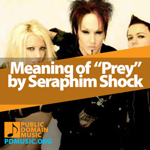 Meaning-of-the-Song-Prey-by-Seraphim-Shock