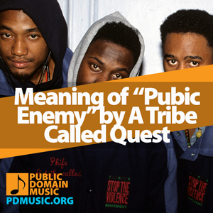 Meaning-of-the-Song-Pubic-Enemy-by-A-Tribe-Called-Quest