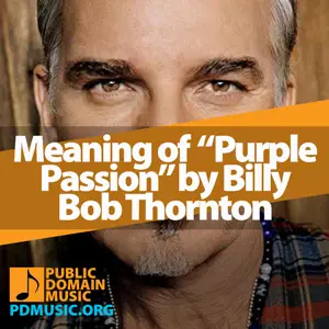 Meaning-of-the-Song-Purple-Passion-by-Billy-Bob-Thornton