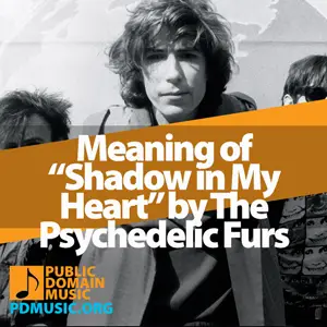 Meaning-of-the-Song-Shadow-in-My-Heart-by-The-Psychedelic-Furs