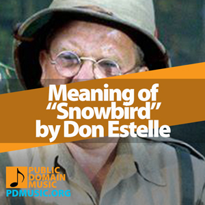 Meaning-of-the-Song-Snowbird-by-Don-Estelle