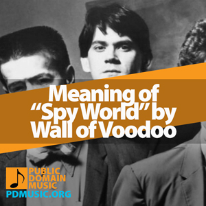 Meaning-of-the-Song-Spy-World-by-Wall-of-Voodoo