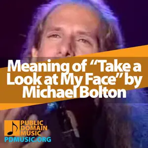 Meaning-of-the-Song-Take-a-Look-at-My-Face-by-Michael-Bolton