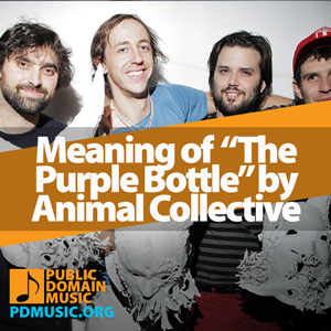 Meaning-of-the-Song-The-Purple-Bottle-by-Animal-Collective-