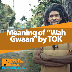 Meaning-of-the-Song-Wah-Gwaan-by-TOK