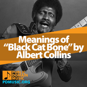 Meanings-of-the-Song-Black-Cat-Bone-by-Albert-Collins