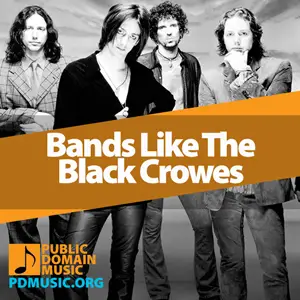 bands-like-the-black-crowes