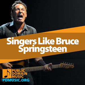 singers-like-bruce-springsteen