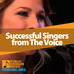 successful-singers-from-the-voice-usa