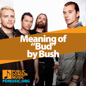 Meaning-of-the-Song-Bud-by-Bush