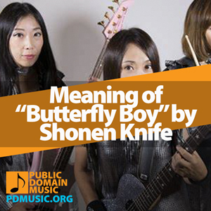 Meaning-of-the-Song-Butterfly-Boy-by-Shonen-Knife