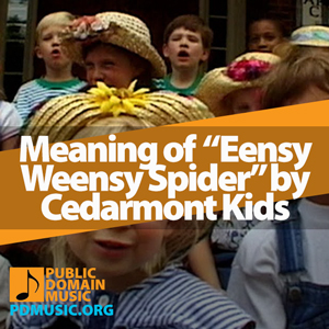 Meaning-of-the-Song-Eensy-Weensy-Spider-by-Cedarmont-Kids