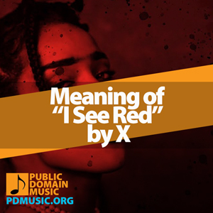 Meaning-of-the-Song-I-See-Red-by-X