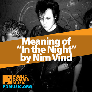 Meaning-of-the-Song-In-the-Night-by-Nim-Vind