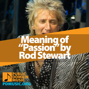 Meaning-of-the-Song-Passion-by-Rod-Stewart