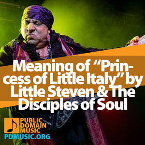 Meaning-of-the-Song-Princess-of-Little-Italy-by-Little-Steven-and-The-Disciples-of-Soul