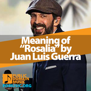 Meaning-of-the-Song-Rosalia-by-Juan-Luis-Guerra