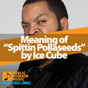 Meaning-of-the-Song-Spittin-Pollaseeds-by-Ice-Cube