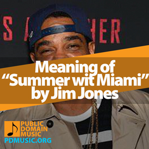 Meaning-of-the-Song-Summer-wit-Miami-by-Jim-Jones