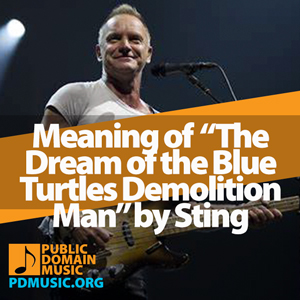 Meaning-of-the-Song-The-Dream-of-the-Blue-Turtles-Demolition-Man-by-Sting