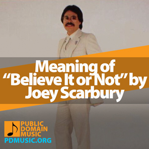 Meaning-of-the-Song-Theme-from-Greatest-American-Hero-Believe-It-or-Not-by-Joey-Scarbury