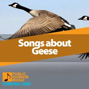 29 Wild Songs About Geese That Will Ruffle Your Feathers Public Domain Music