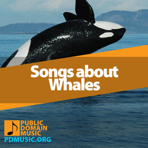 songs-about-whales