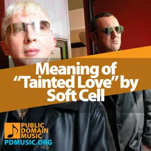 Meaning-of-the-Song-Tainted-Love-by-Soft-Cell