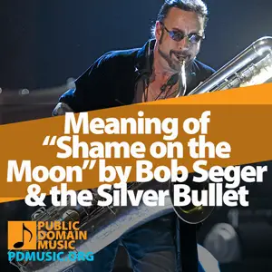 Meaning-of-The-Song-Shame-on-the-Moon-by-Bob-Seger-and-the-Silver-Bullet-Band