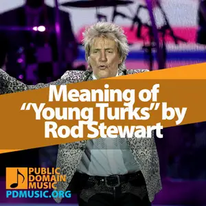 Meaning-of-The-Song-Young-Turks-by-Rod-Stewart