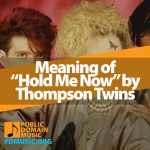 Meaning-of-the-Song-Hold-Me-Now-by-Thompson-Twins