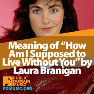 Meaning-of-the-Song-How-Am-I-Supposed-to-Live-Without-You-by-Laura-Branigan