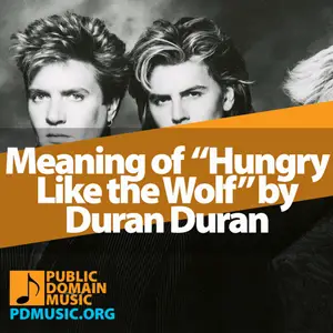 Meaning-of-the-Song-Hungry-Like-the-Wolf-by-Duran-Duran