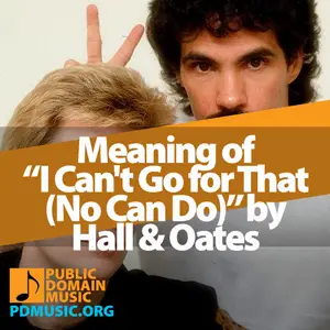 Meaning-of-the-Song-I-Cant-Go-for-That-No-Can-Do-by-Daryl-Hall-and-John-Oates