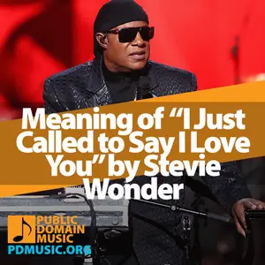 Meaning-of-the-Song-I-Just-Called-to-Say-I-Love-You-by-Stevie-Wonder