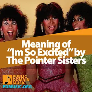 Meaning-of-the-Song-Im-So-Excited-by-The-Pointer-Sisters